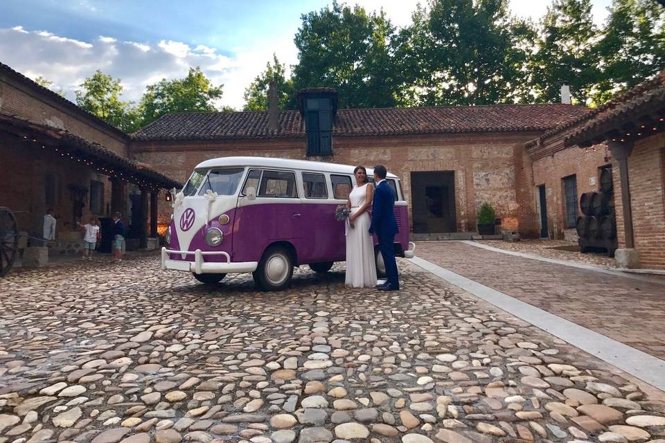 VW T1 Violeta