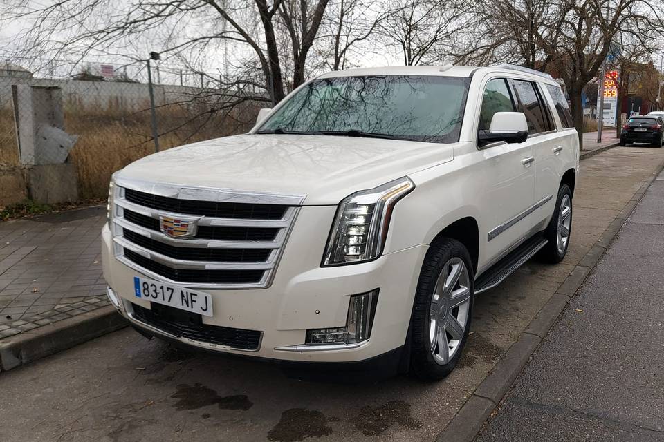 Miss Cadillac