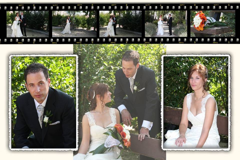 Bodas