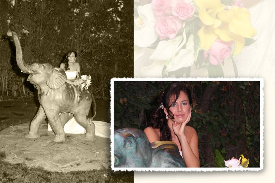 Bodas
