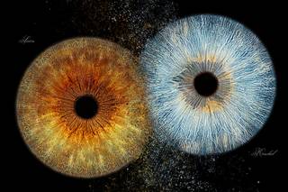 Iristellar