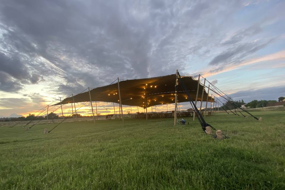 Carpa en pradera