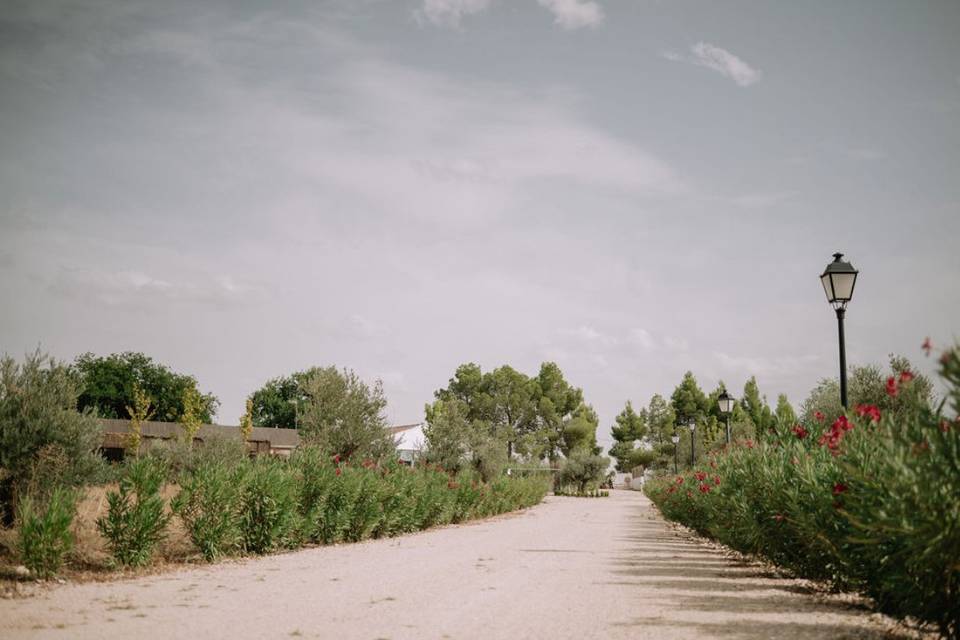 Vistas de la finca