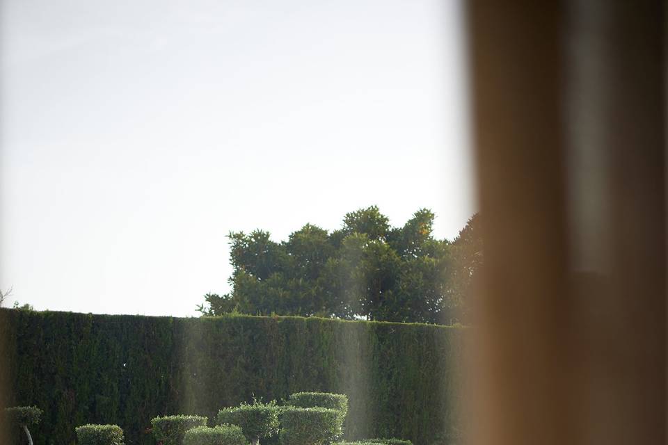 Ceremonia en el jardín