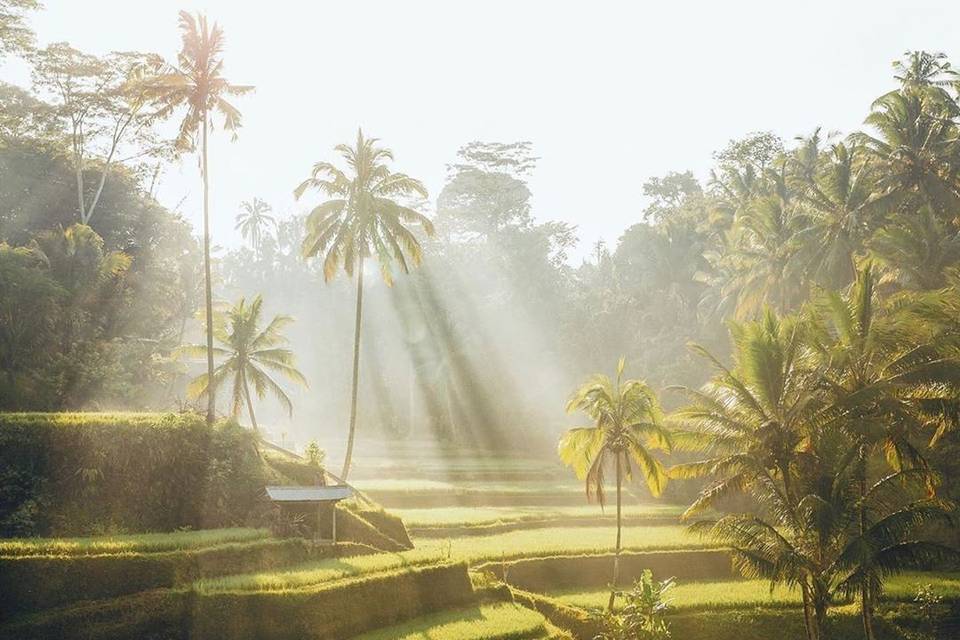 Paisajes de ensueño