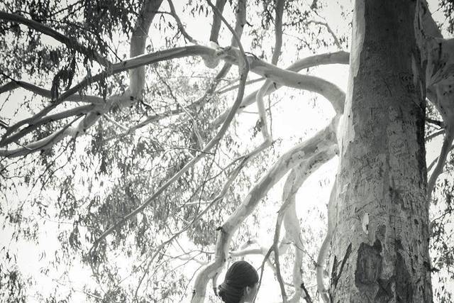 J.M. Parra