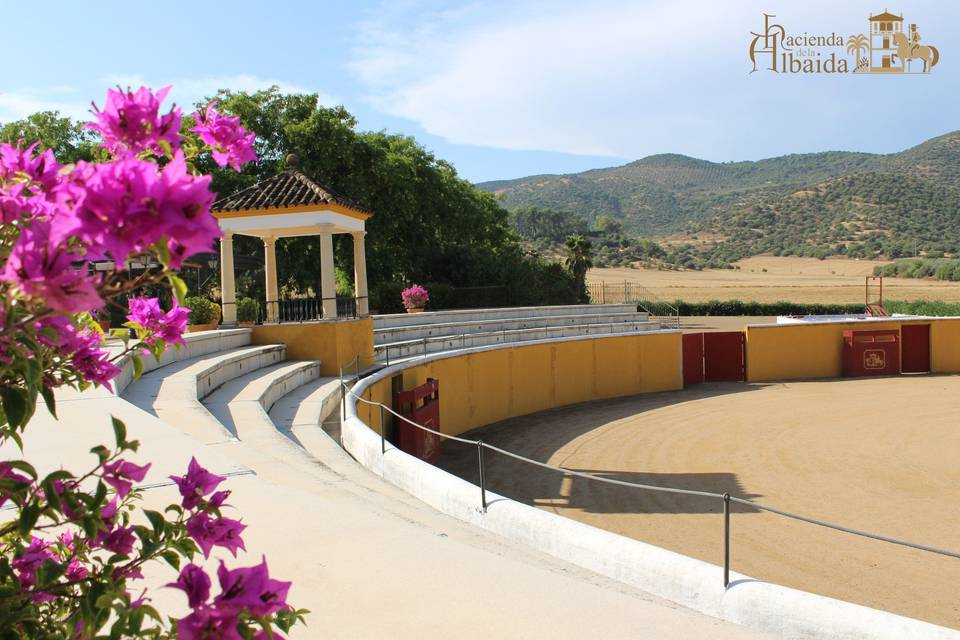 Hacienda de la Albaida