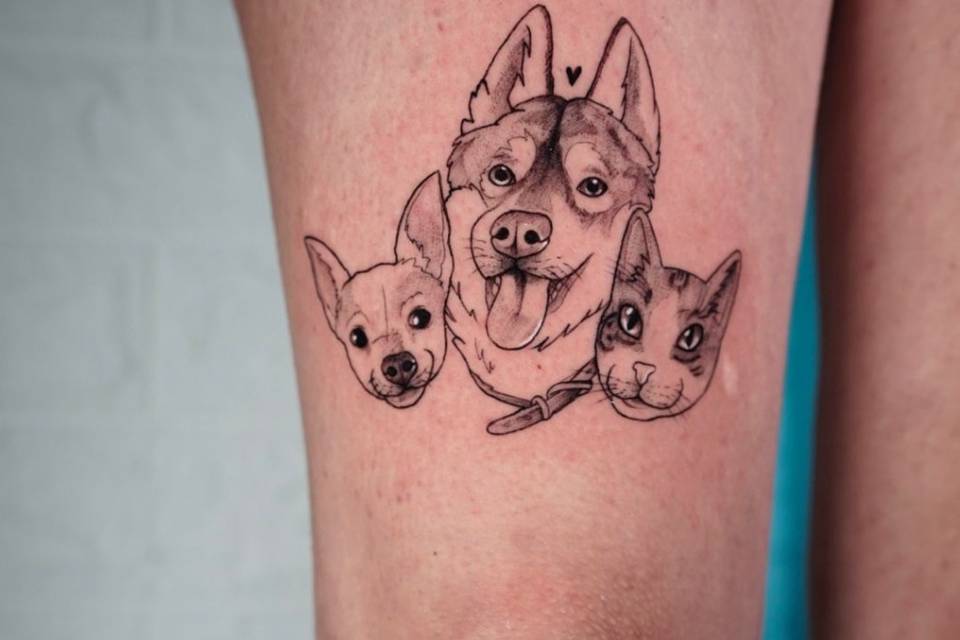 Mascotas