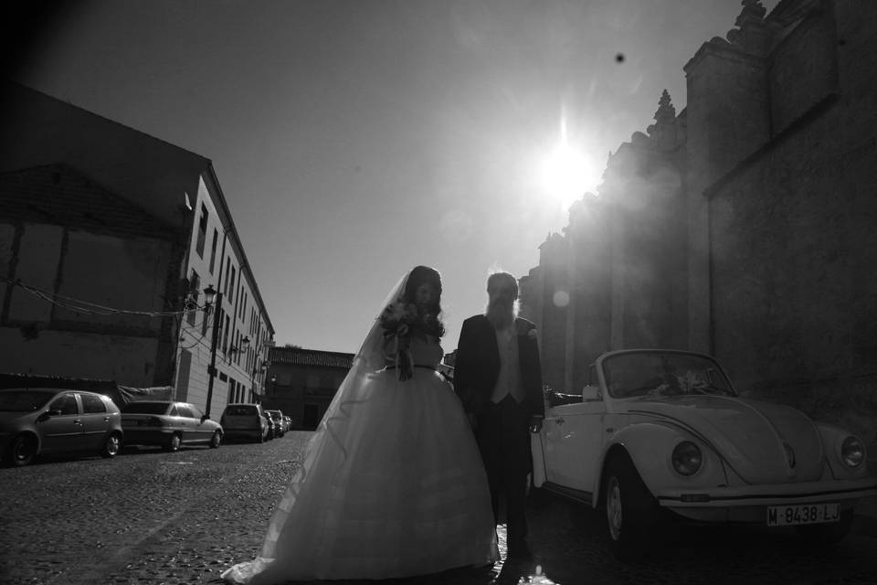 Bodas