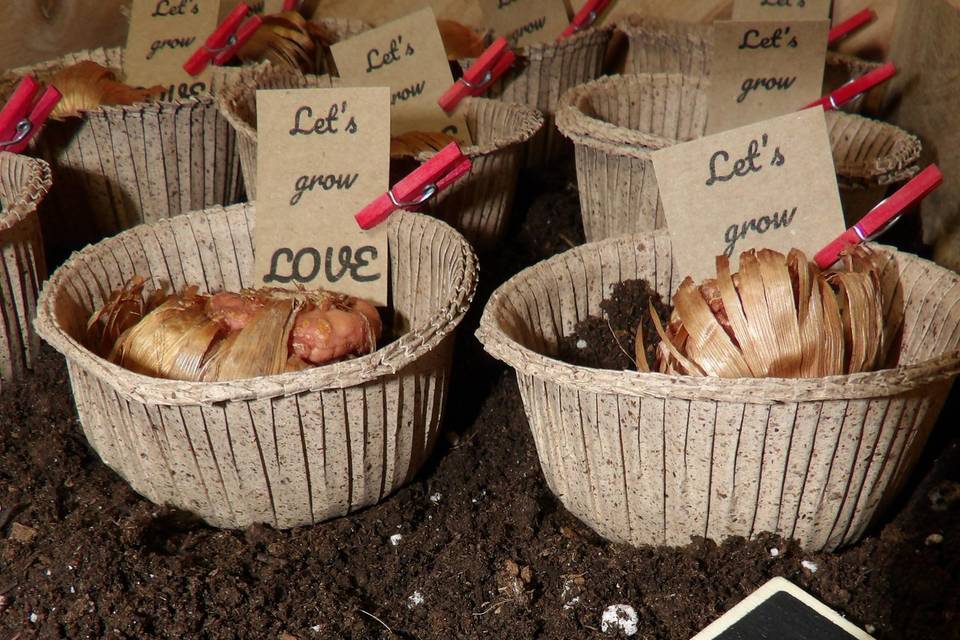 Detalle boda