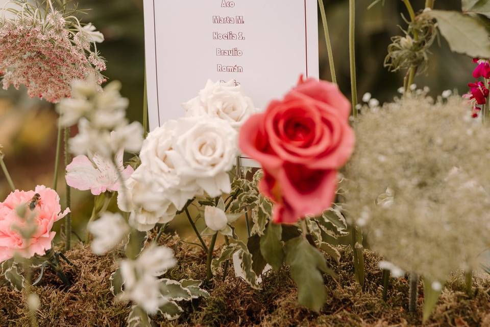 Boda P&A