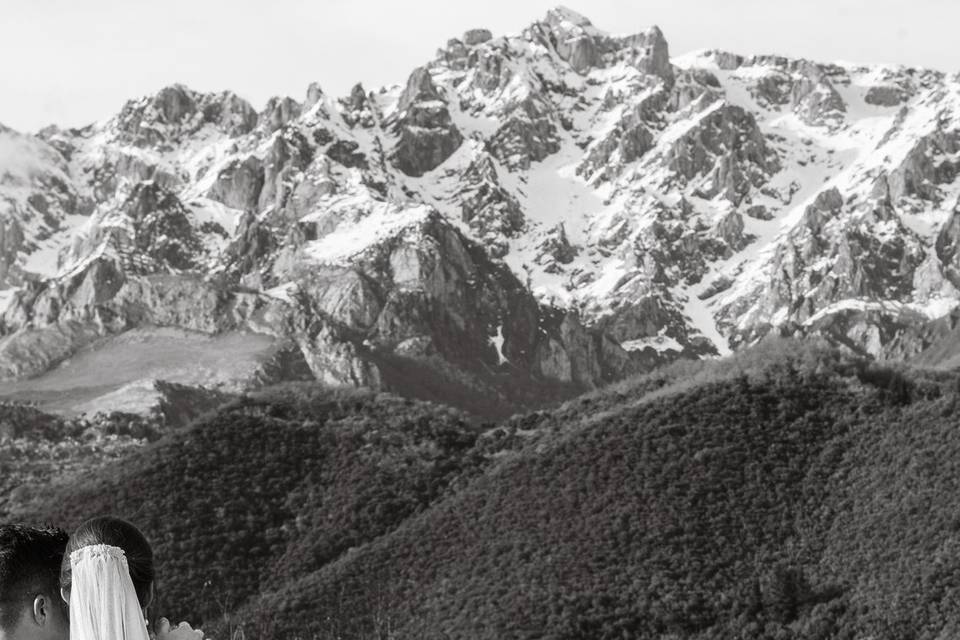 Potes