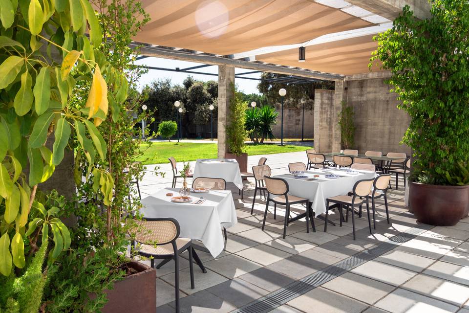Terraza