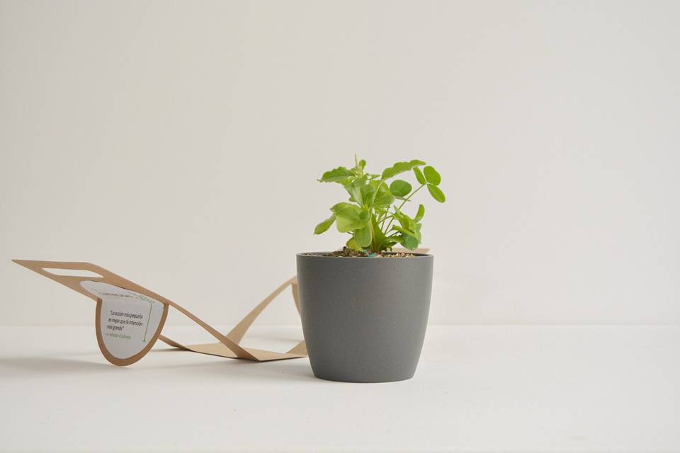 Kits de cultivo
