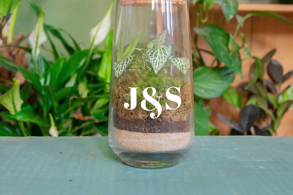 Terrario personalizado