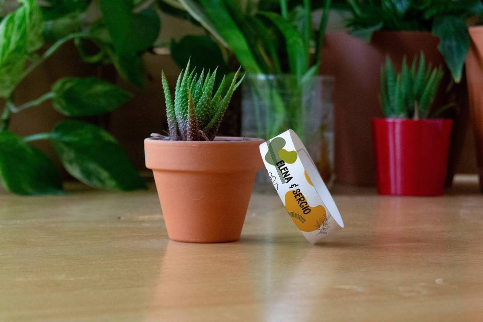 Pulsera de papel eco