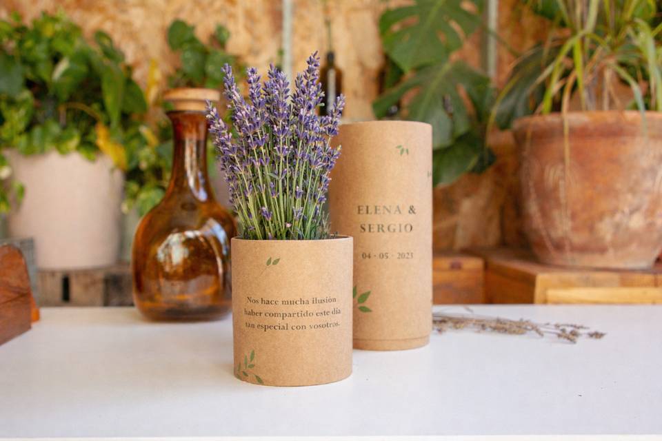 Lavanda en un tubo