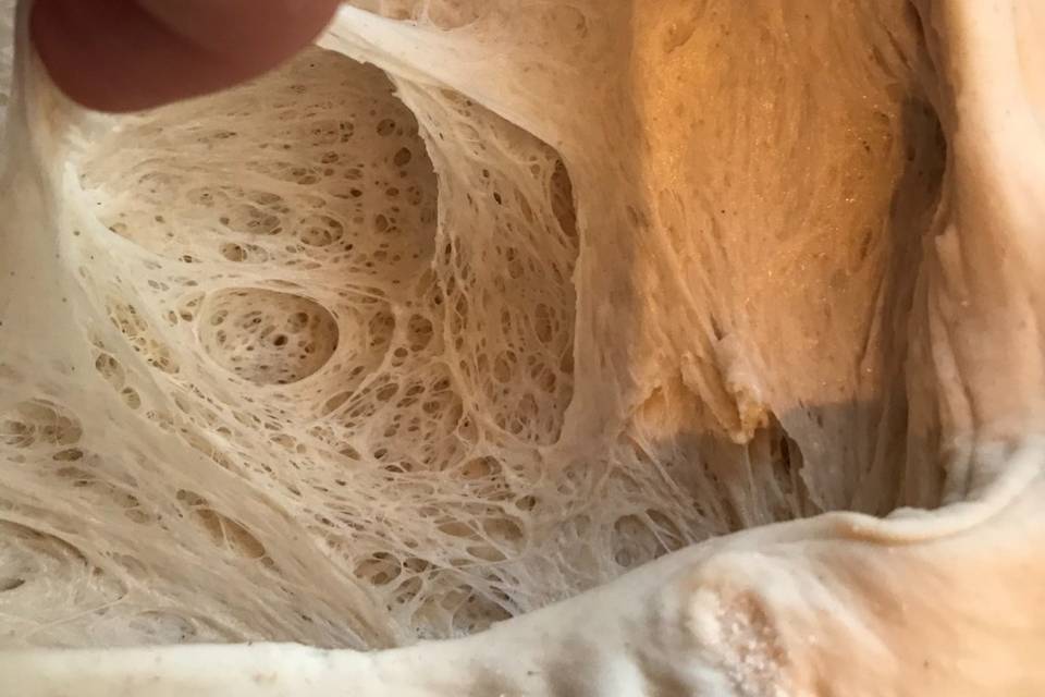 Fermentación