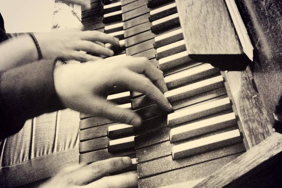 Organista