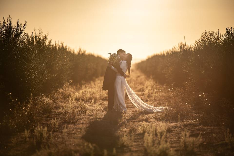 José María Sánchez Fotografía