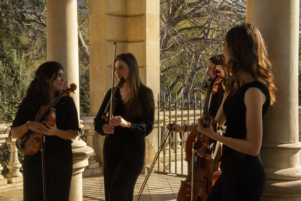 Cuarteto Lilium