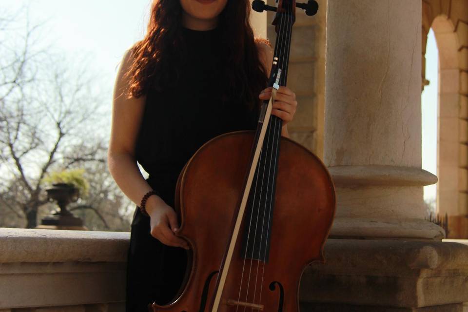 Violoncelista