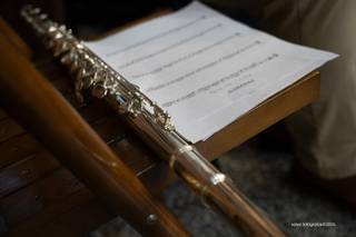 FluteSense