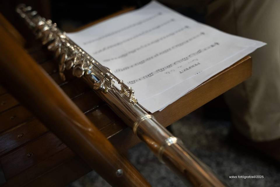 FluteSense