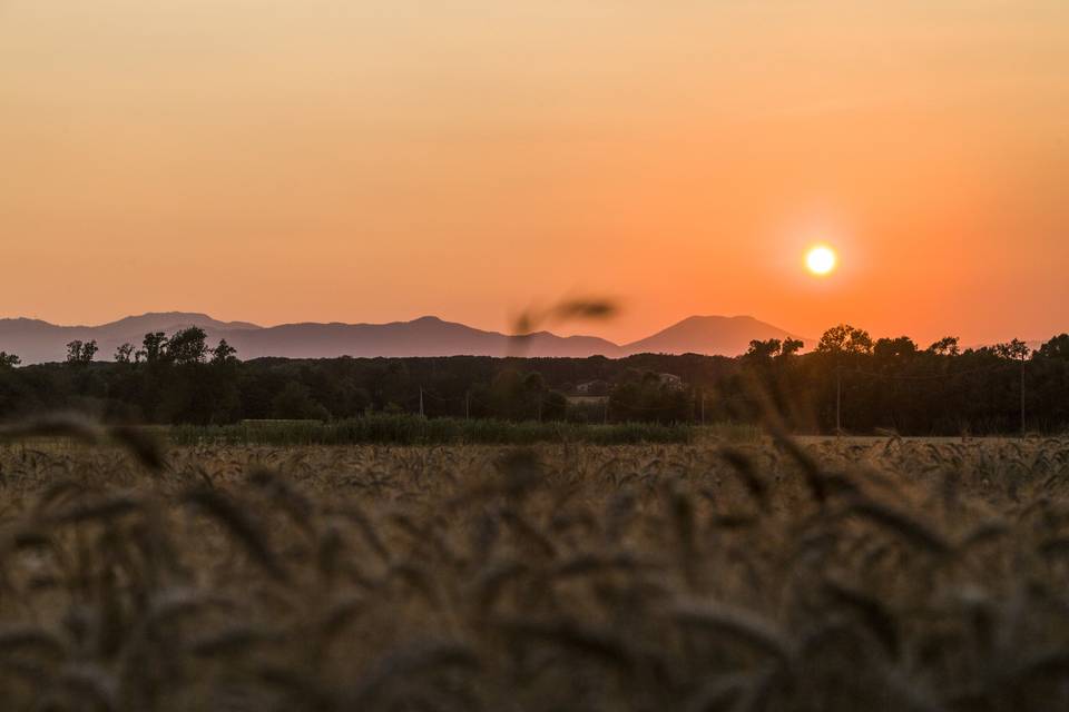 Atardecer en la masía