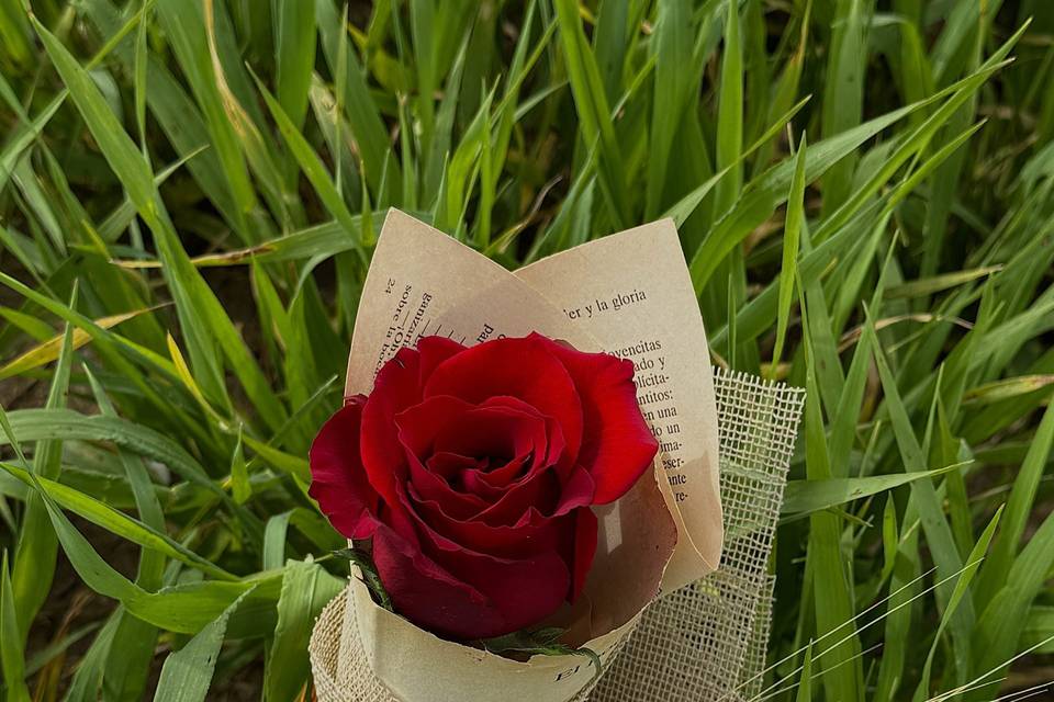 Rosas