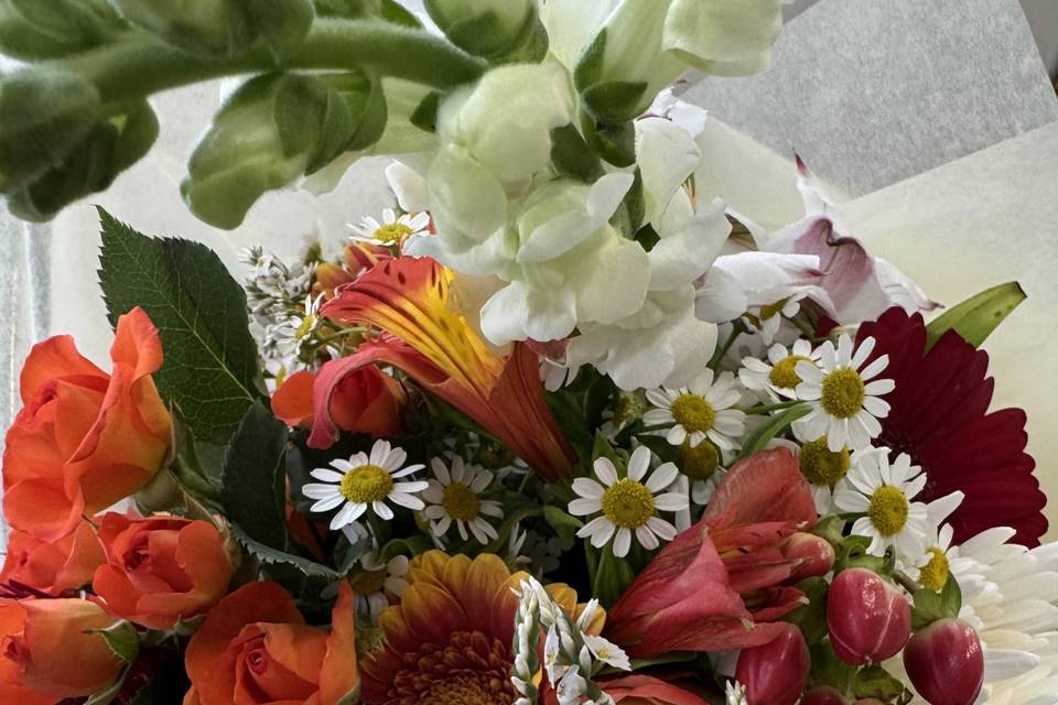 Variedad de flores