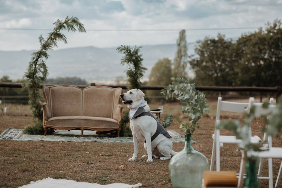 Posando en la ceremonia