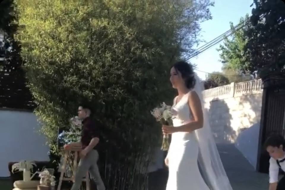 Kikao - Cuidadora de Mascotas