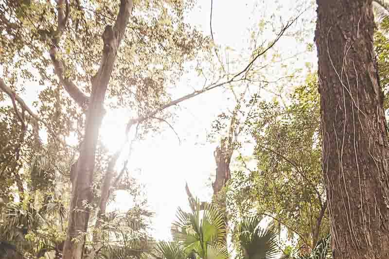 Preboda en Sevilla