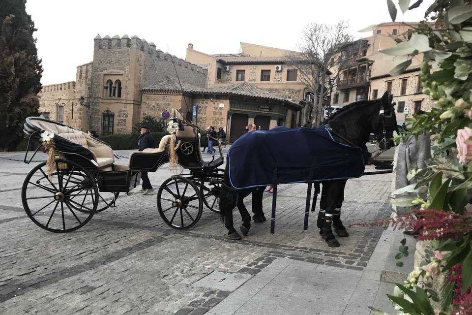 Carruajes Las señoritas