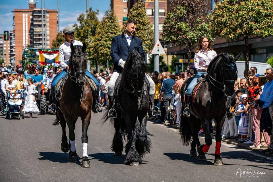 Carruajes Las señoritas