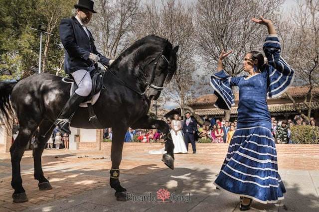 Carruajes Las señoritas