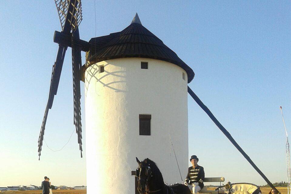 Carruajes Las señoritas