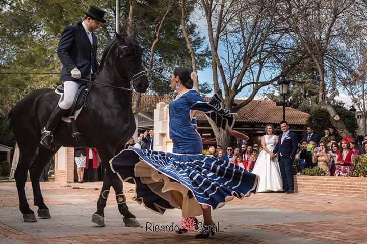 Carruajes Las señoritas