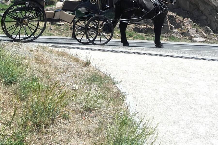 Carruajes Las señoritas