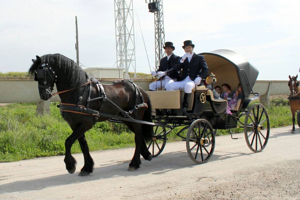 Carruajes Las señoritas