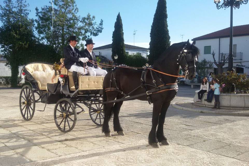 Carruajes Las señoritas