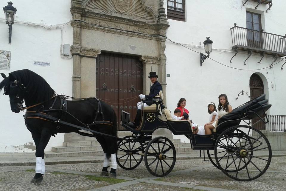 Carruajes Las señoritas