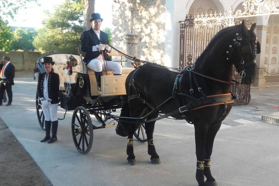 El transporte de vuestra boda