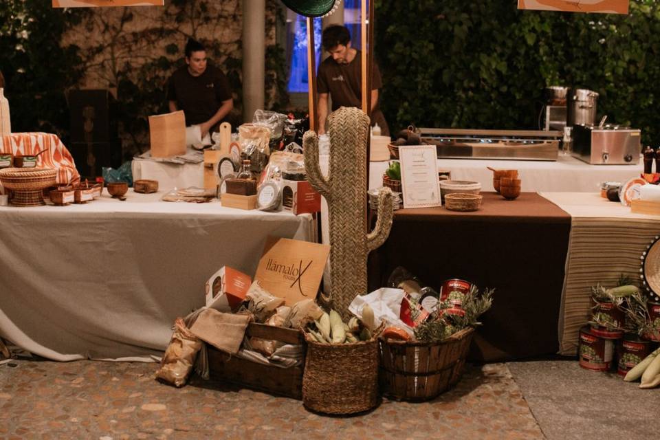 Montajes mex