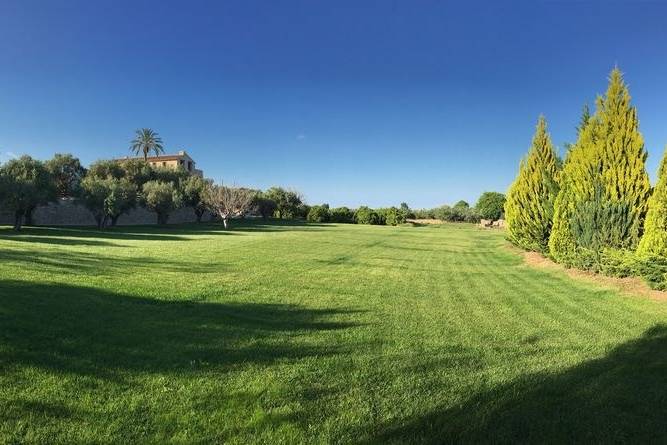 Jardín de los Olivos