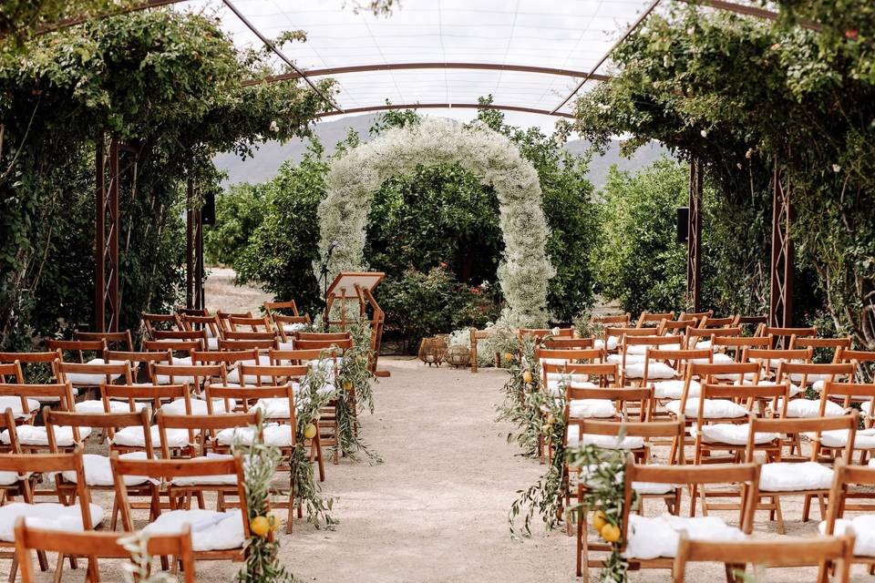 Ceremonia arco