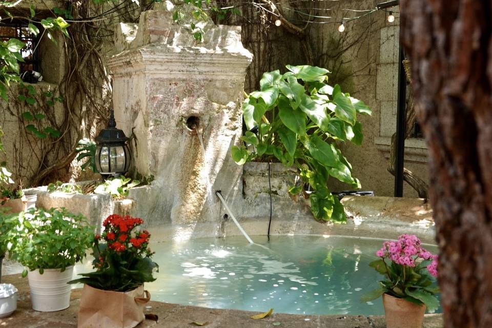 Jardin