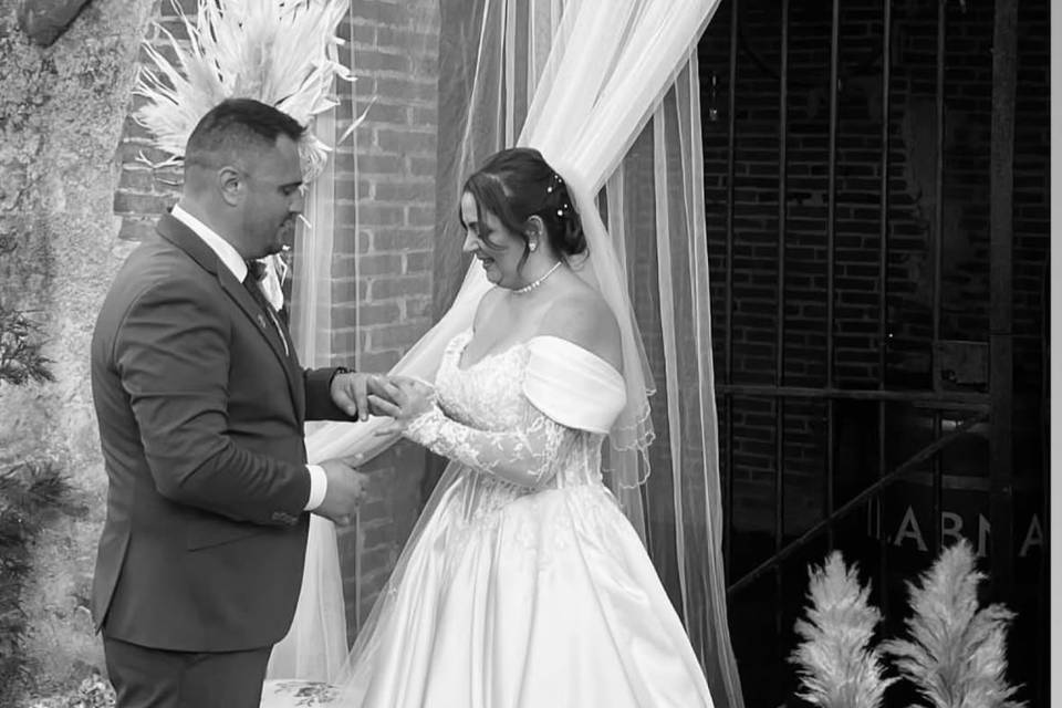 Novios