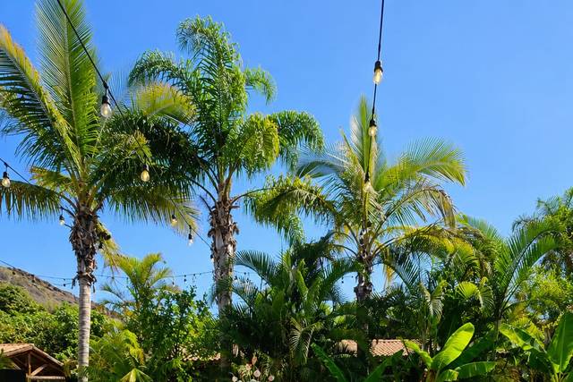 Jardín